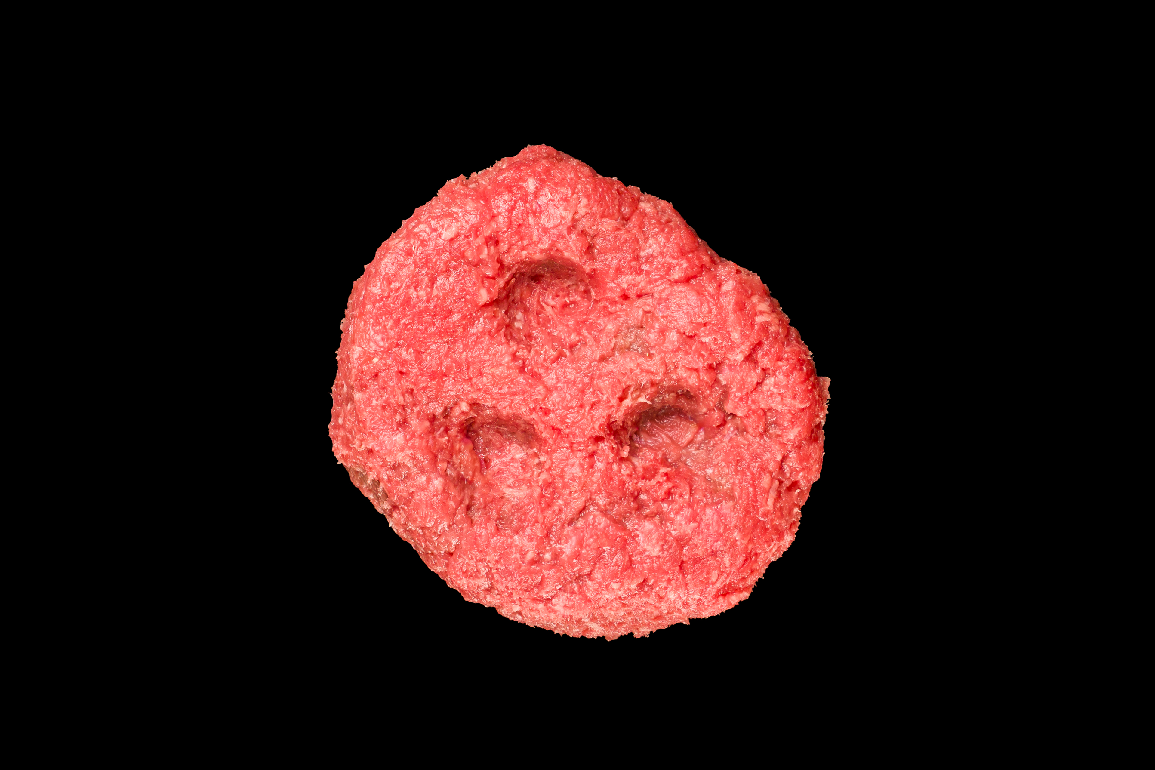 Tatar z Angus Black USA